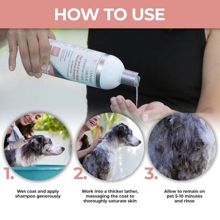 Veterinary Formula Clinical Care Hot Spot Shampoo 16Oz Banner Showing Woman Applying Shampoo To Dog