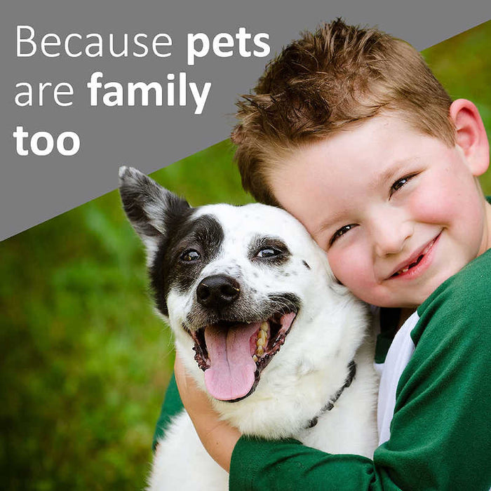 Veterinary Formula Clinical Care Antiparasitic & Antiseborrheic Medicated Dog Shampoo - boy hugging his dog on a grassy surface with the title "Because dogs are family too".