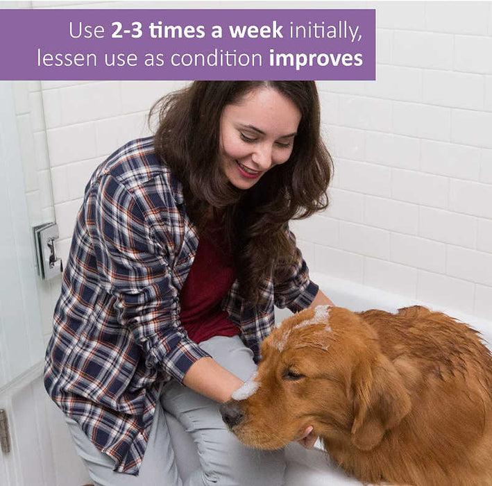 Veterinary Formula Clinical Care Antiparasitic & Antiseborrheic Medicated Dog Shampoo - woman washing a dog with the product with the page title " Use 2-3 times a week.