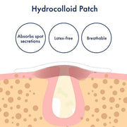 PanOxyl PM Overnight Clear Spot Patches 40 Count