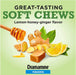 Dramamine Nausea Non=Drowsy Ginger Soft Chews 20 Count Banner That Reads Great Tasting Soft Chews