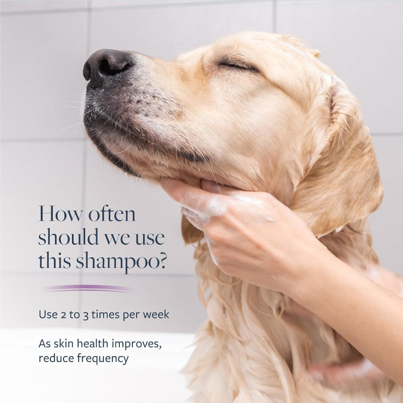 Veterinary Formula Clinical Care Antiparasitic & Antiseborrheic Dog Shampoo ad;  Dog being bathed with text about shampoo usage frequency.