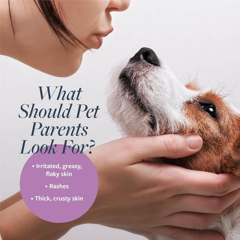 Veterinary Formula ad; A close-up lifestyle photo of a woman gently holding a dog's face, with overlaid text reading 'What Should Pet Parents Look For?' and a purple circle listing skin-related concerns such as irritation, greasy/flaky skin, rashes, and thick crusty skin.