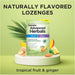 Dramamine Advanced Herbals Banner That Reads - Naturally Flavored Lozenges