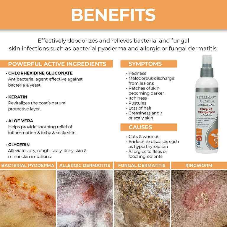 Veterinary Formula Clinical Care Antiseptic & Antifungal Shampoo