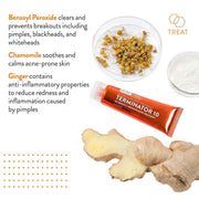 AcneFree Terminator 10 Acne Spot Treatment Cream 1 Oz