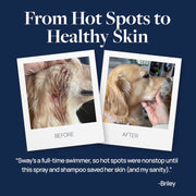 Navy testimonial graphic, “From Hot Spots to Healthy Skin,” shows a golden dog’s irritated, reddish fur before and healthy coat after treatment, with owner praise.