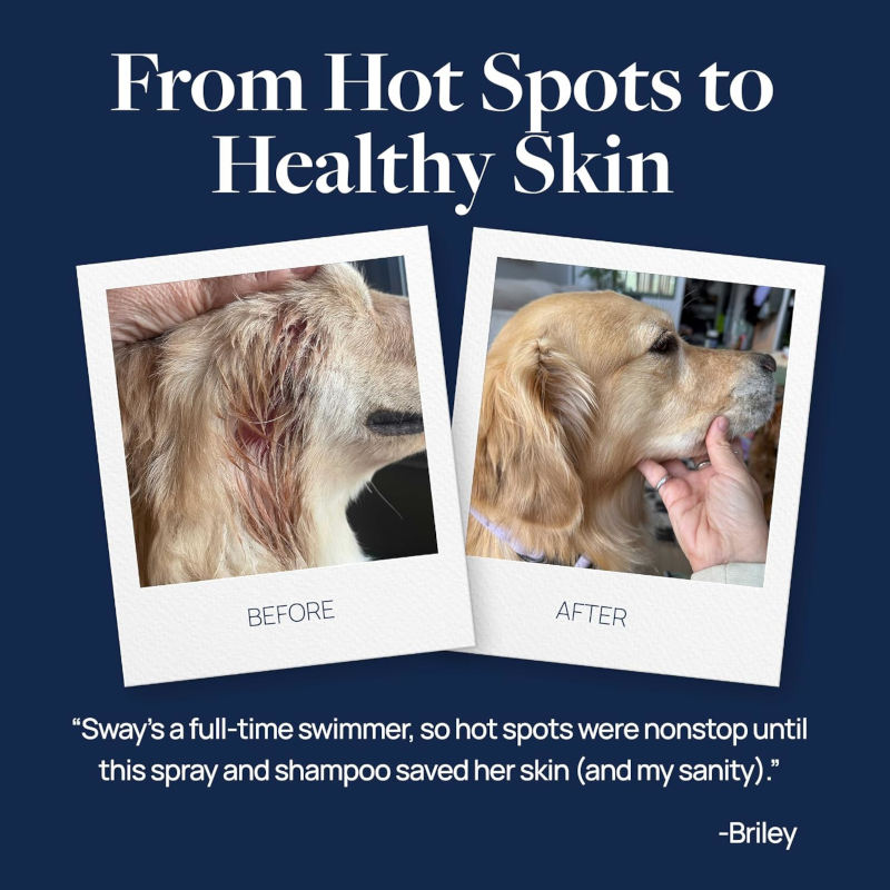 Navy testimonial graphic, “From Hot Spots to Healthy Skin,” shows a golden dog’s irritated, reddish fur before and healthy coat after treatment, with owner praise.