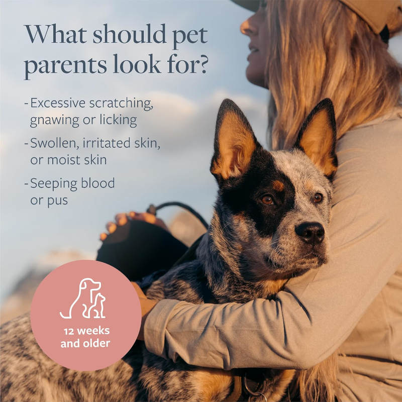Veterinary Formula ad; Person holding a dog with text about pet health issues and a 12-weeks-and-old label.