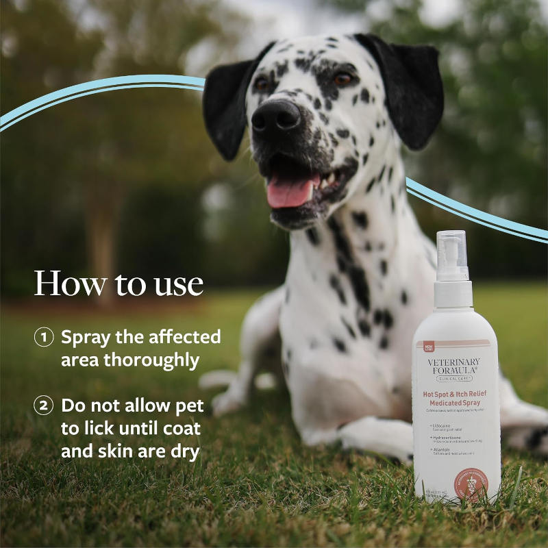 Dalmatian dog with a bottle of Veterinary Formula spray on grass