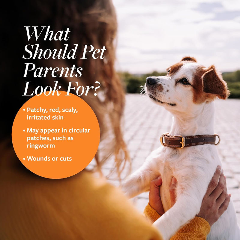 Veterinary Formula ad; Dog being held by a person with text about pet parents looking for skin issues.