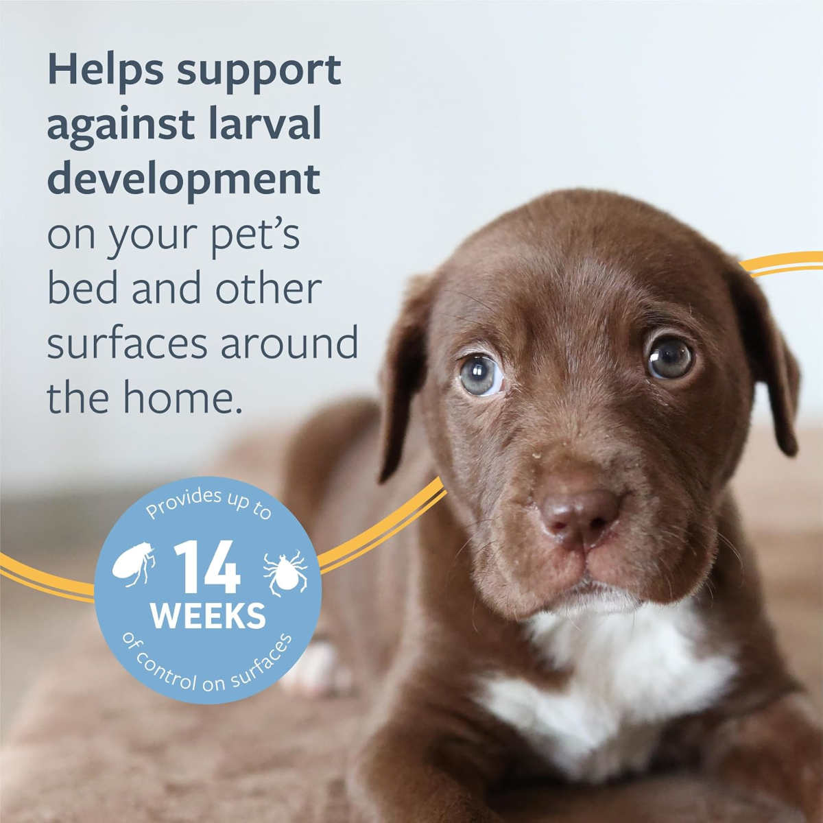 Veterinary Formula Flea & Tick Spray ad; Brown puppy with text about larval development support on pet beds and surfaces.