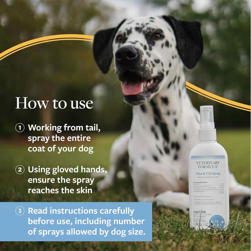 A Dalmatian dog is lying on grass in an outdoor setting, with a bottle of Canfin Veterinary Formula Flea & Tick Spray shown beside it. Text on the left explains how to use the spray, and the bottle is placed on the grass in the foreground.