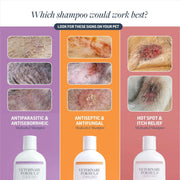 Infographic comparing three medicated Veterinary Formula Clinical Care pet shampoos—antiparasitic and antiseborrheic, antiseptic and antifungal, and hot spot and itch relief—with photos of skin conditions.