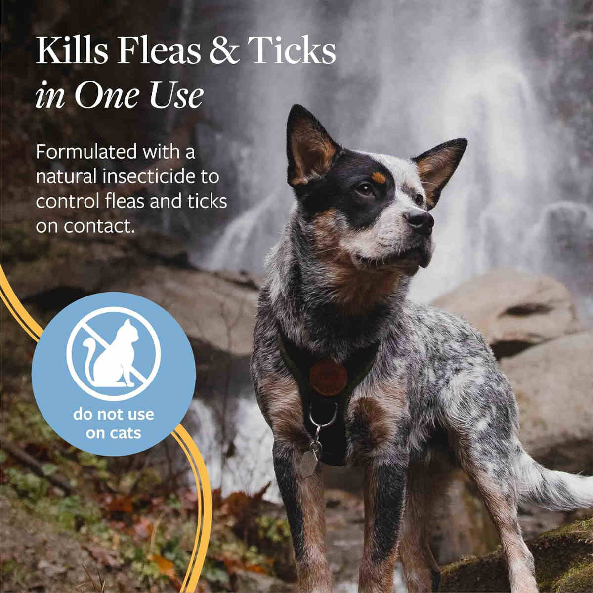Veterinary Formula Flea & Tick Spray ad; A dog standing outdoors in front of a waterfall, wearing a black collar with a round brown tag. Large text reads 'Kills Fleas & Ticks in One Use' with supporting copy about natural insecticide, and a blue circle says 'do not use on cats.
