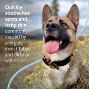 Veterinary Formula Clinical Care ad; Dog with a blurred natural background and text about skin care.