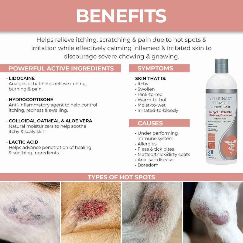 Veterinary Formula Clinical Care Hot Spot and Itch Relief Medicated Shampoo
