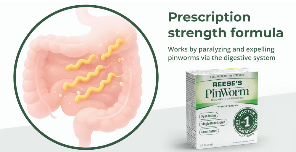 Reese's PinWorm liquid treatment box shown beside a circular medical-style illustration of a pink digestive system with yellow worm graphics. Text reads 'Prescription strength formula' and 'Works by paralyzing and expelling pinworms via the digestive system.