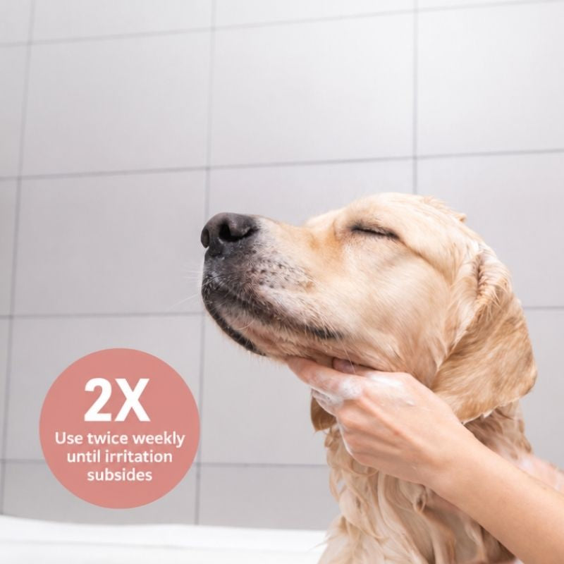 Veterinary Formula Clinical Care Dog Shampoo ad; A relaxed golden retriever gets its neck washed in a tiled bathroom, with a pink badge recommending use twice weekly until irritation subsides.