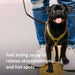 Veterinary Formula Clinical Care Hot Spot & Itch Relief Medicated Spray  showing image of a dog with slogan - Fast Acting.