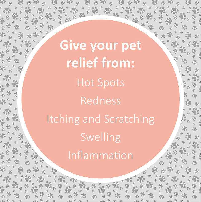 Veterinary Formula Hot Spot & Itch Relief Spray 8 Oz UK