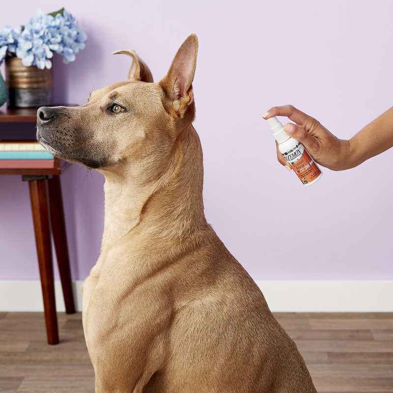 Zymox UK Topical Spray with Hydrocortisone 1.0%