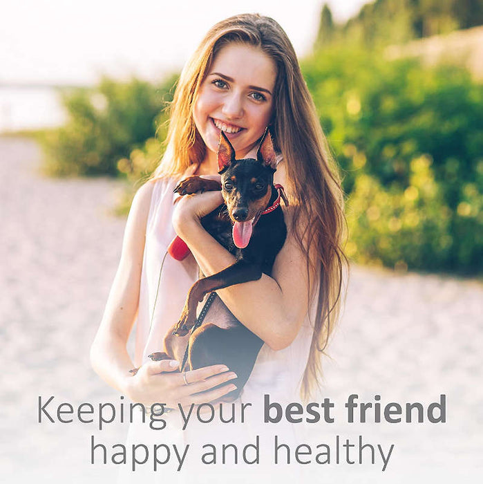 Synergy Labs Veterinary Formula Clinical Care Antiseptic & Antifungal Spray UK 8 banners showing a woman holding a small dog that reads "Keeping your best friend happy and healthy".