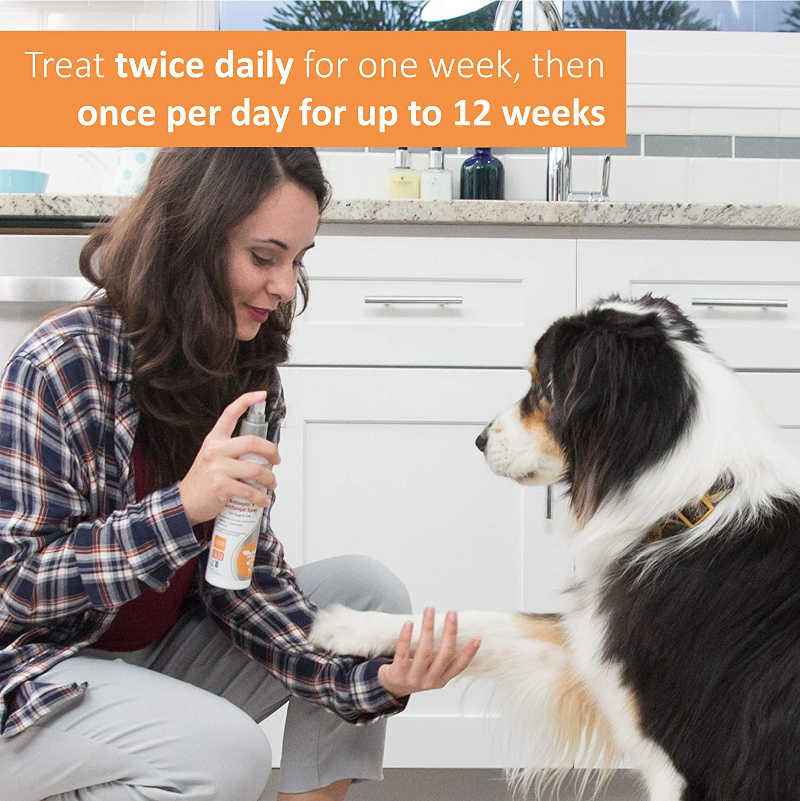 Veterinary Formula Antiseptic & Antifungal Spray for Dogs & Cats UK