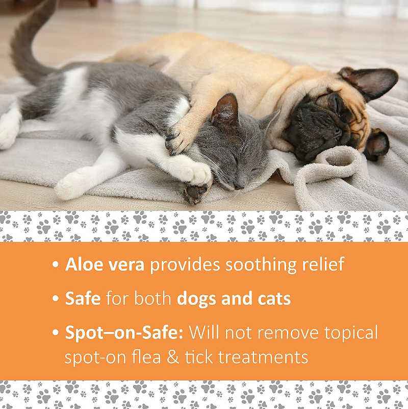 Veterinary Formula Antiseptic & Antifungal Spray for Dogs & Cats UK