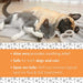 Synergy Labs Veterinary Formula Clinical Care Antiseptic & Antifungal Spray UK banner showing a dog & cat, lying down together with a slogan that reads: "Aloe vera provides soothing relief, safe for cats & dogs, Spot-on-safe: Will not remove topical flea & tick treatments".