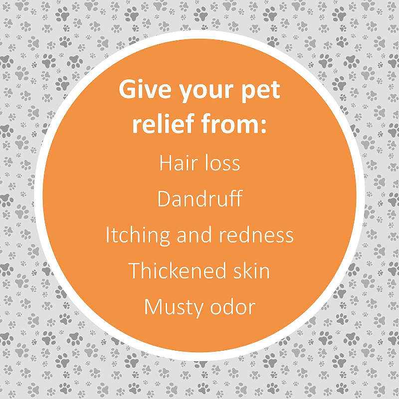 Veterinary Formula Antiseptic & Antifungal Spray for Dogs & Cats UK