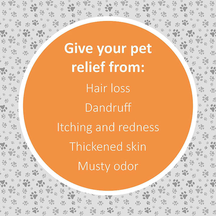 Synergy Labs Veterinary Formula Clinical Care Antiseptic & Antifungal Spray UK banner with orange background that reads "Give your pet relief from, Hair loss, Dandruff, Itching & Redness, Thickened skin & Musty odor".