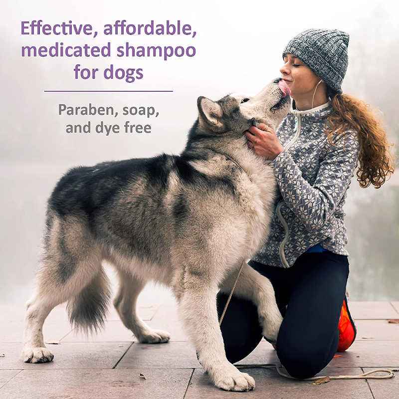 Veterinary Formula Clinical Care Medicated Dog Shampoo UK