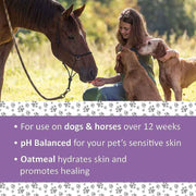 Veterinary Formula Clinical Care Medicated Dog Shampoo UK