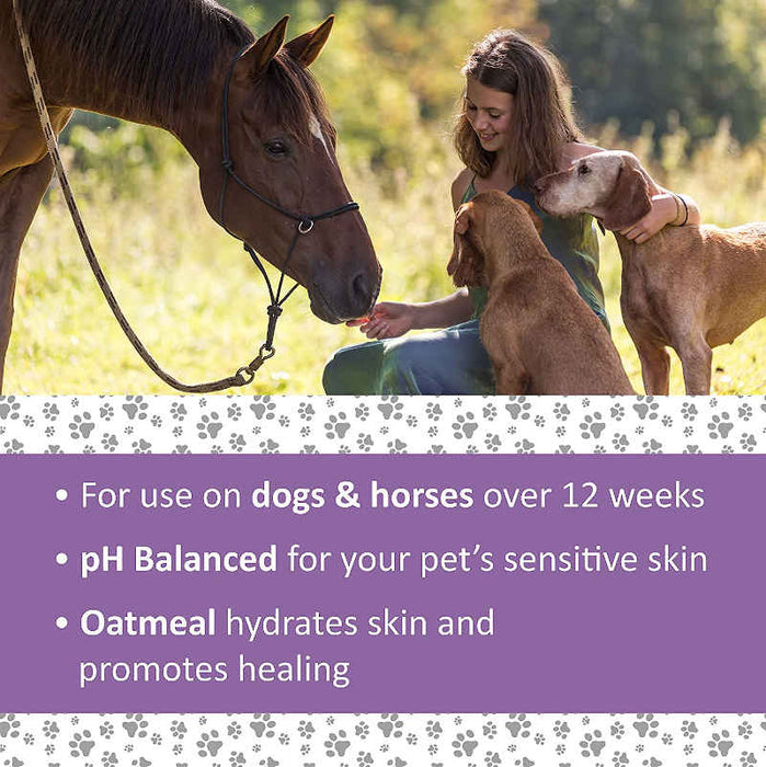 Veterinary Formula Clinical Care Antiparasitic & Antiseborrheic Medicated Dog Shampoo - Woman with two dogs, feeding a horse with the title " For use on dogs and horses over 12 weeks of age",