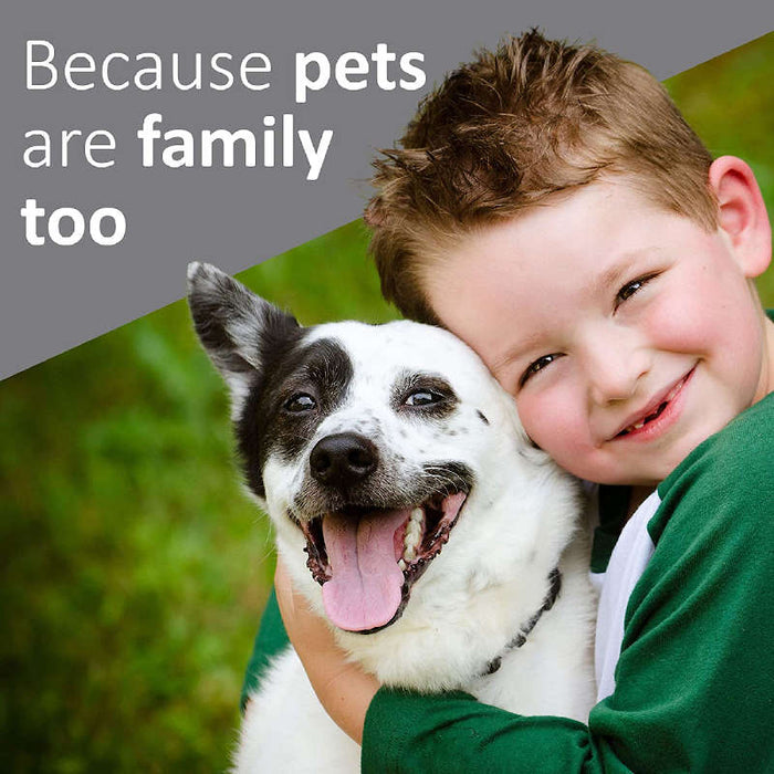 Synergy Labs Veterinary Formula Clinical Care Antiseptic & Antifungal Spray UK 8 oz bottle banners showing a boy hugging his dog with a slogan that reads: "Because pets are family too".